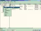 windows2003环境下配置CGI模式详解