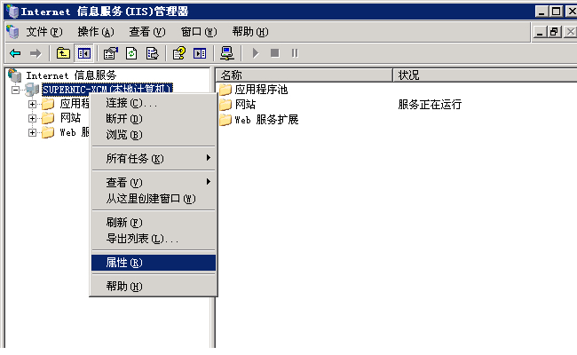 Internet 信息服务