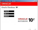 Windows下ORACLE 10g安装与操作图解