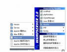 Apache服务器套装WampServer2.2软件