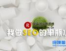 站长做SEO半瓶水也要叫得响亮