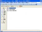 Access 2003简易绿色免安装版