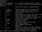 Netcat在Windows和Linux下的操作方法