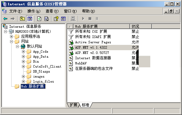 iis已经允许asp.net